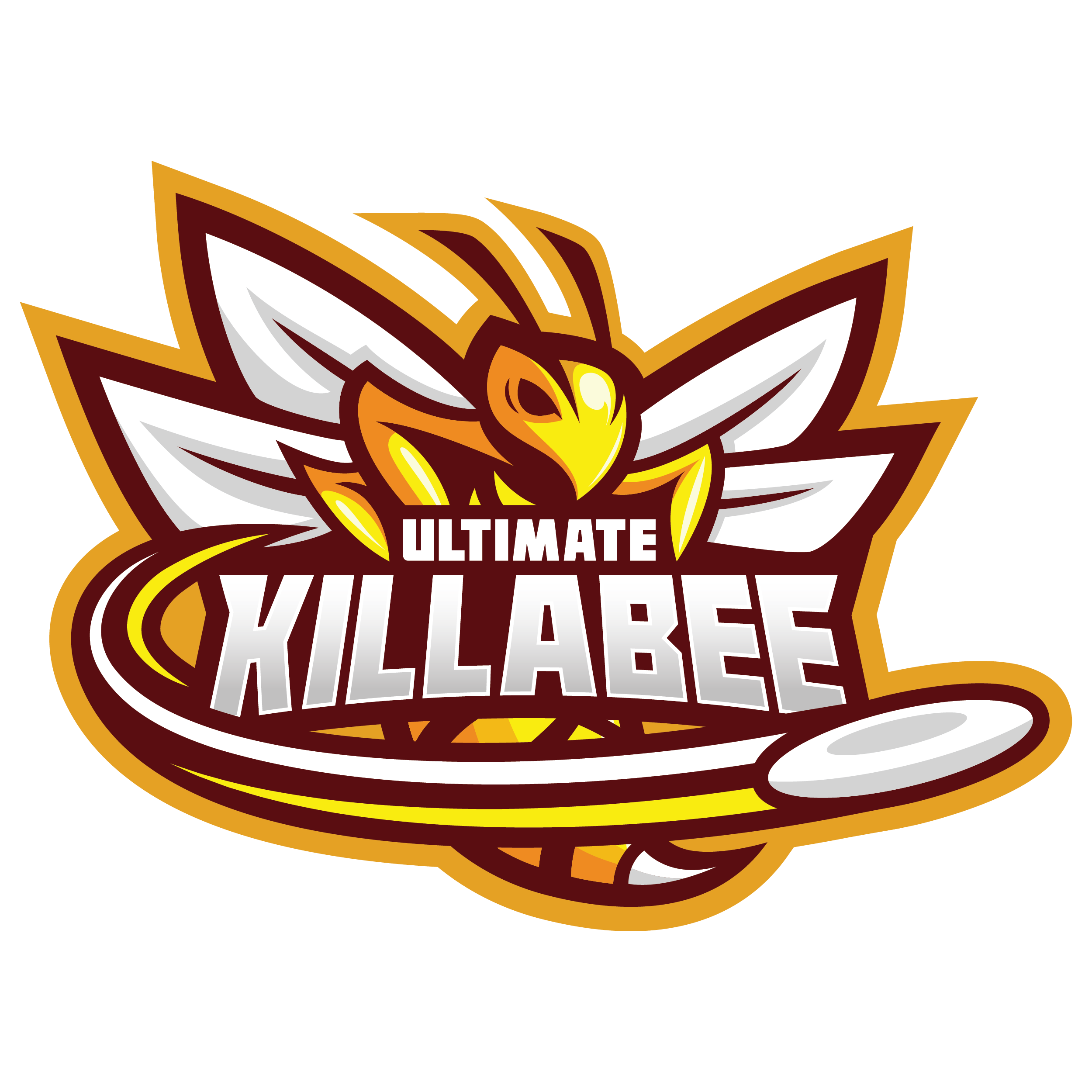 Team 2 Logo